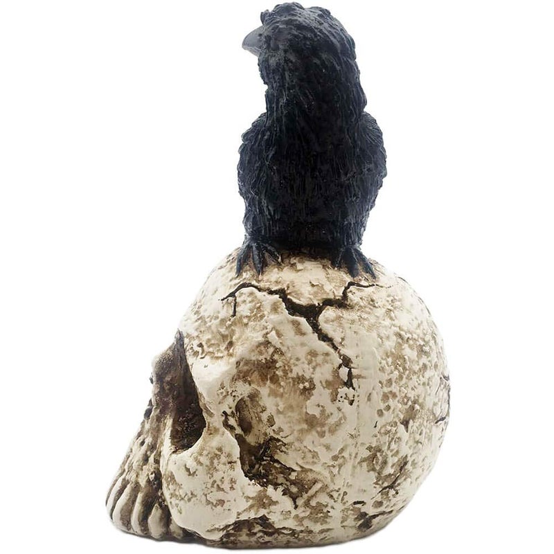 ThriBartLive Raven On Skull Halloween Home Decor - Gothic Crow On Skull Statue, Bird Perching On Skeleton Figurine, Macabre Ossuary Sculpture - Image 3